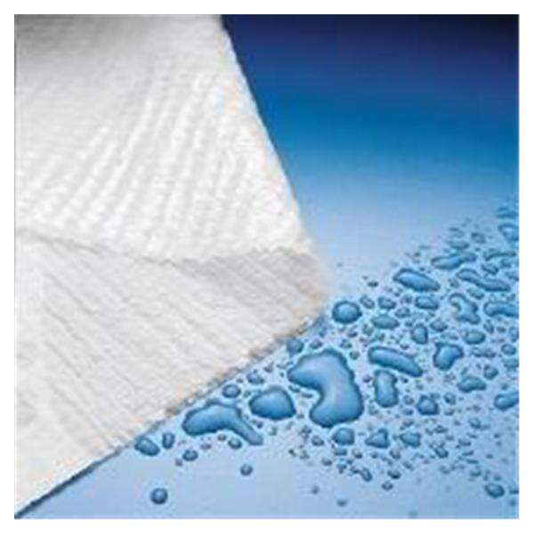 Towel Patient Plasbak 13.5 in x 18 in Blue 3 Ply Tissue / Poly 500/ca
